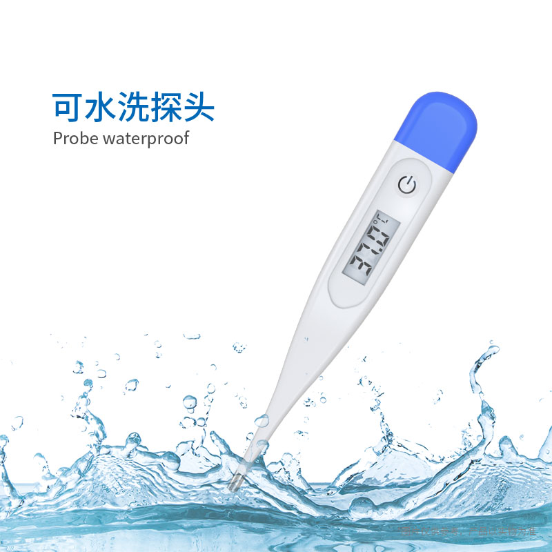 硬头体温计T11L